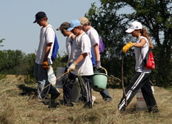 From left, Alex Kinnan, Michaela Stompoly, Jack Lind, Ryan Lobb, and Monica Sneed clear fields of insulation and other debris that would be dangerous for animals to eat.