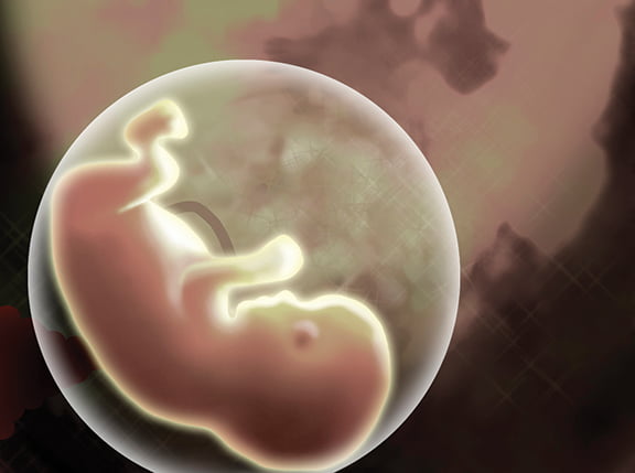 An illustration depicts a human fetus in a womb. The new Vatican document “Dignitas Personae” (“The Dignity of a Person”) warns that certain recent developments in stem-cell research, gene therapy and embryonic experimentation violate moral principles and reflect an attempt by man to “take the place of his Creator.” (CNS illustration/Emily Thompson) (Dec. 12, 2008) See BIOETHICS-INSTRUCTION (UPDATED) Dec. 12, 2008.