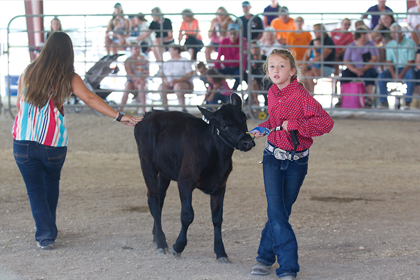 Tonganoxie family raises livestock for Leavenworth County fair - The ...